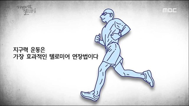 염색체 운동.jpg
