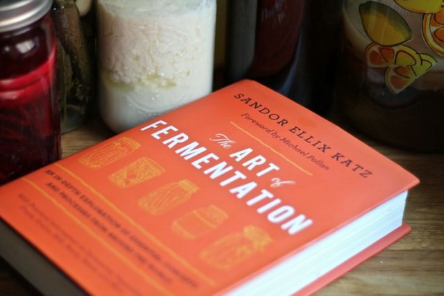The-art-of-fermentation-with-jacket-700x466.jpg