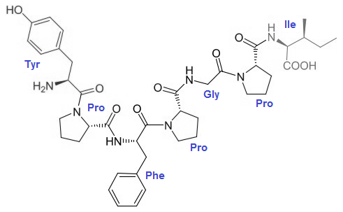 casomorphin.png