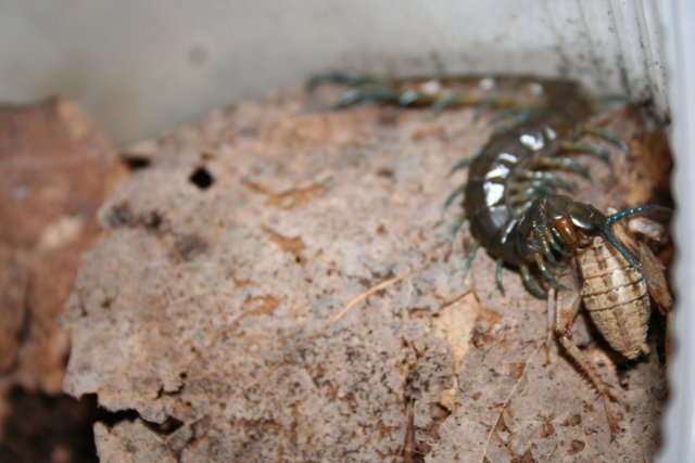IMG_0358.jpg