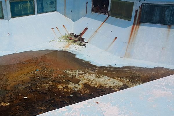 instalaciones del acuario abandonadas 2.jpg