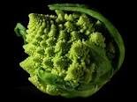 Broccoli.jpg