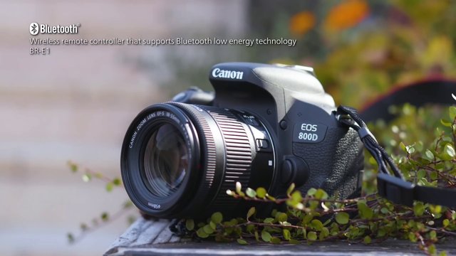 eos800D.jpg