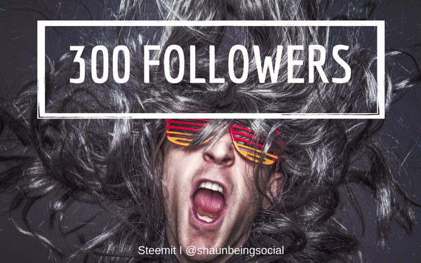 Progress! ... 300 Followers ... 600 x 375px.png
