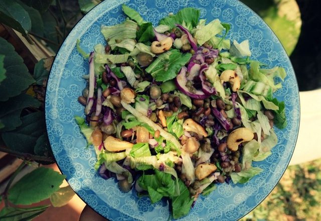 Lentil-Pomegranate-Salad-with-Orange-Dressing.JPG