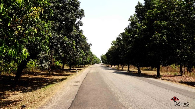 Nepal calm roads.jpg