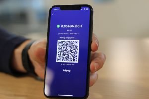 bitpay-checkout-1-300x200.jpg