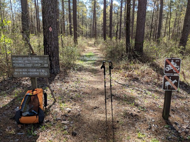 Northern trailhead at Nuxobee Hills