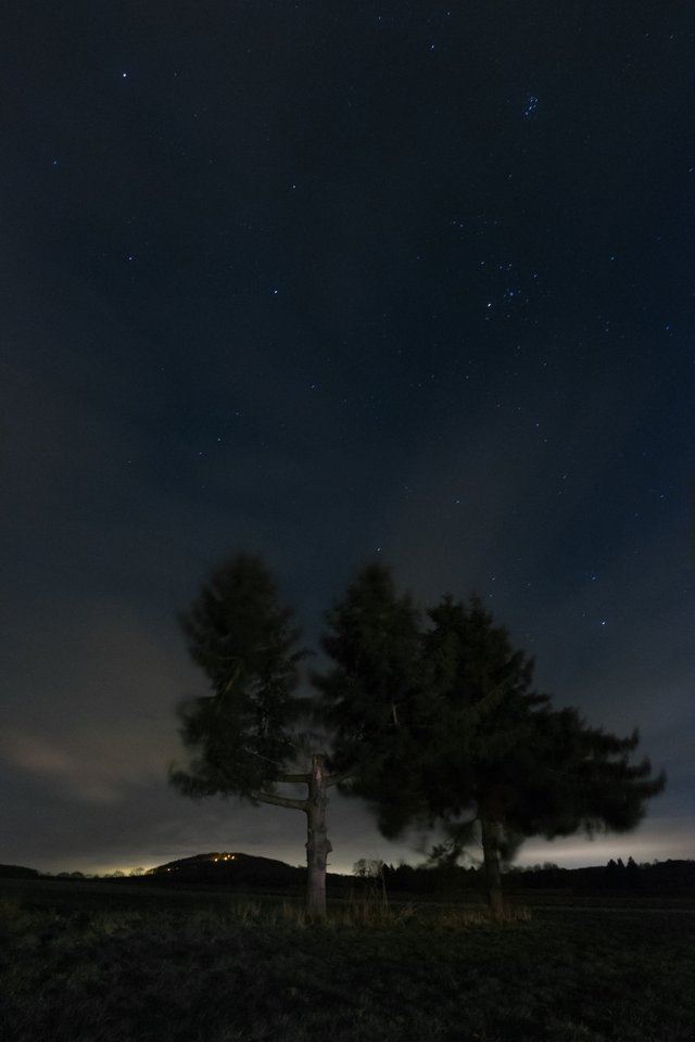 Tree Nightsky.jpg