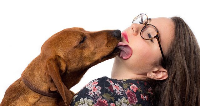 Obsessive dog licking.jpg