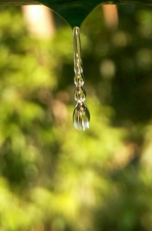 Water droplets mobilephotography 2.jpg