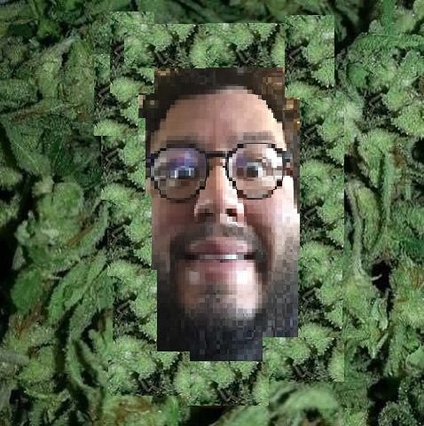 woodyweed.jpg