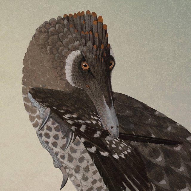 velociraptor-mongoliensis_ii.jpeg