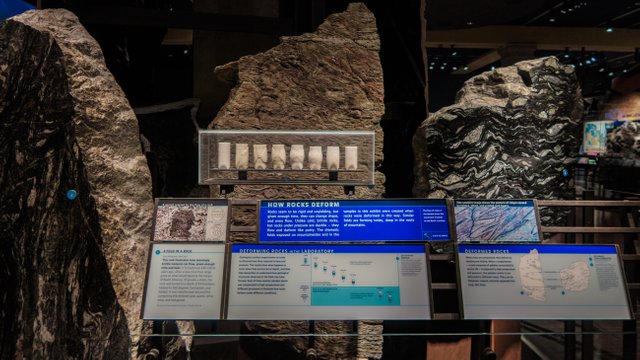 American Museum of Natural History_71.jpg