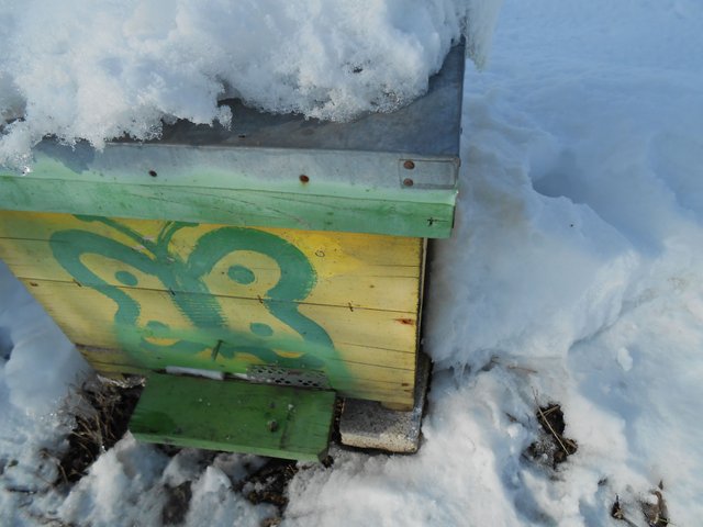 DSCN1900.JPG