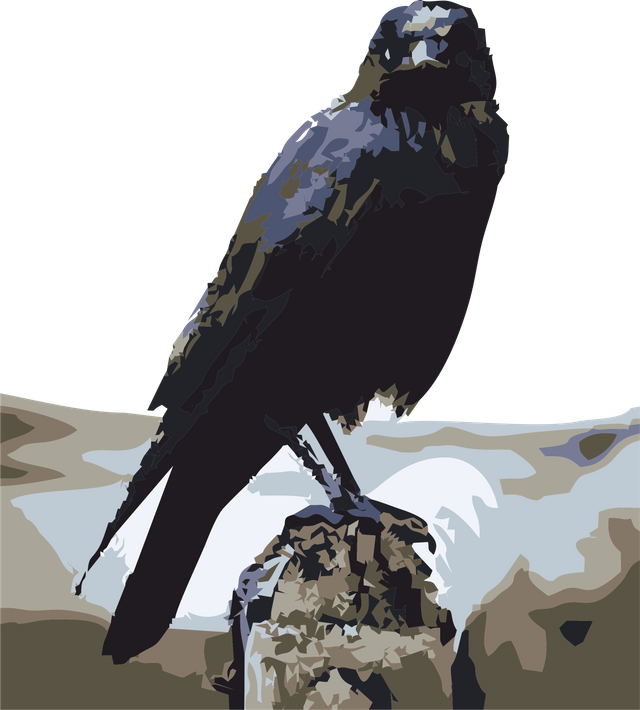 Untitled-1.png