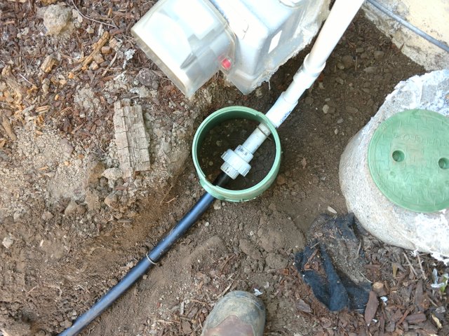 L2L Going From PVC to Watering Line.jpg