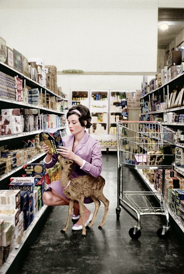 Audrey Hepburn shopping with her pet deer, Ip, in Beverly Hills, CA -1958 - Color.jpg