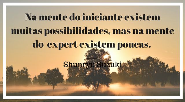 Na mente do iniciante existem muitas possibilidades, mas na mente do expert existem poucas. ― Shunryu Suzuki.png