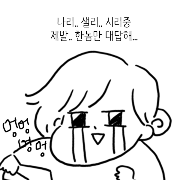 샐리나리시리7.png