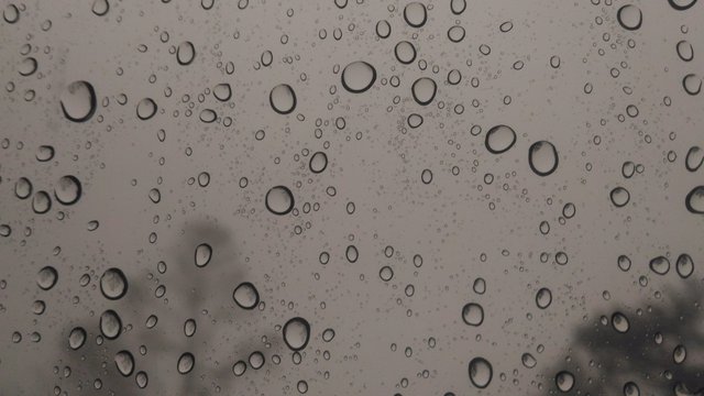 P_20170702_171812_DF.jpg