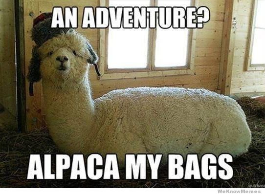 an-adventure-alpaca-my-bags.jpg