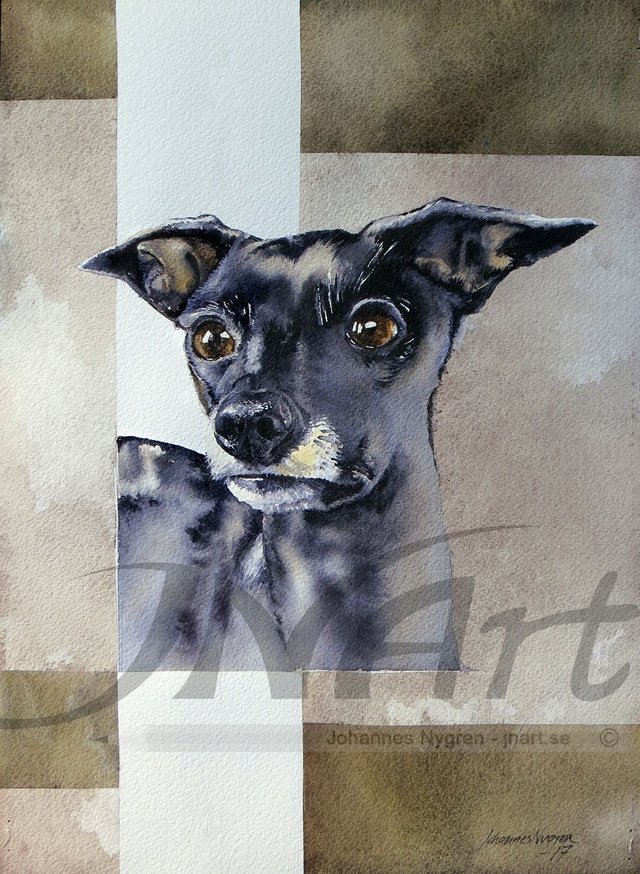 Hund - Dog - watercolor.jpg