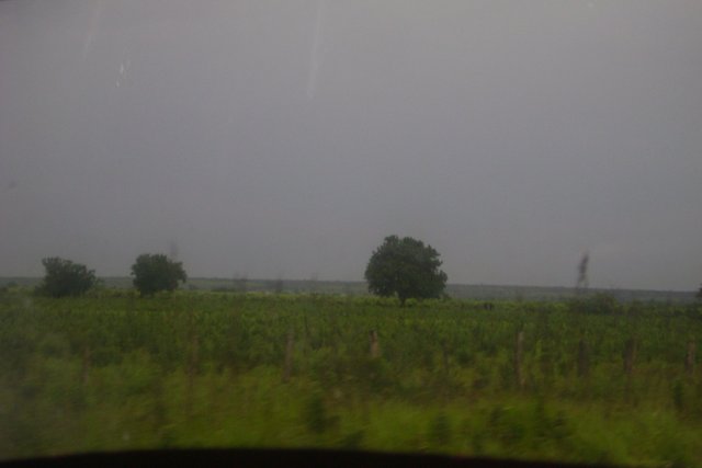 DSC05980.JPG