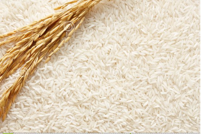 rice-background-26152819.jpg