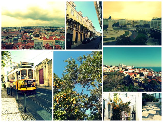 Lisbon11med.jpg