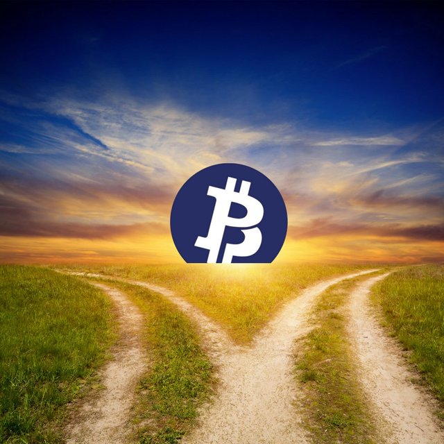 bitcoin-private.jpg