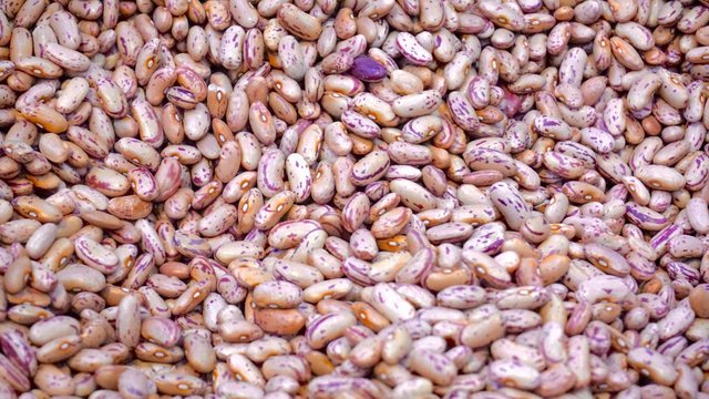 8 - agriculture-beans-close-up-176169.jpg