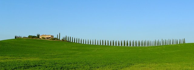 toscana-2286630_960_720.jpg