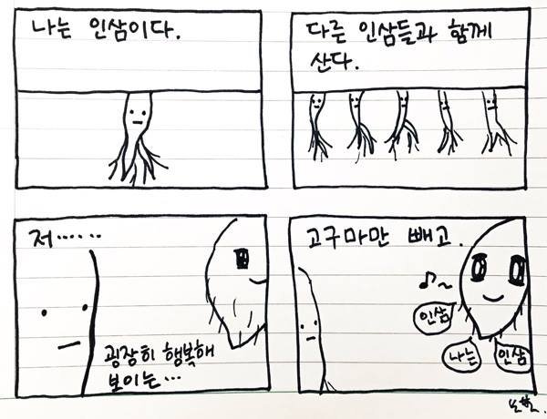 인삼밭의 고구마 (2).jpg