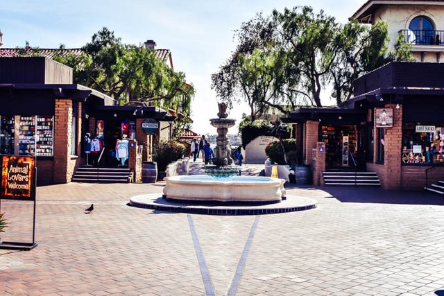 Travel Diary California La Jolla Cove & Seaport Village (63).jpg