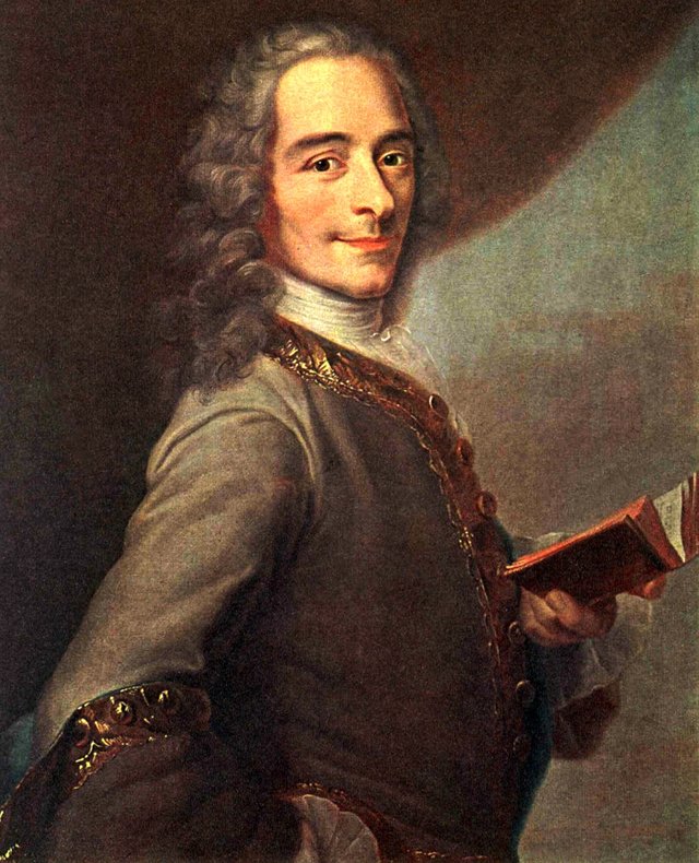 Voltaire_portrait.jpg