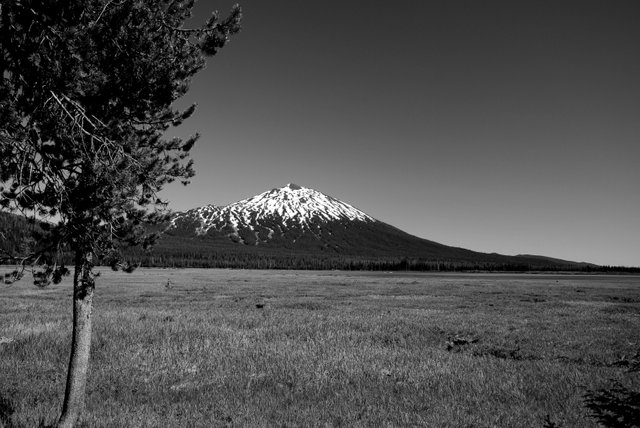 bwcontest mount rainier.JPG