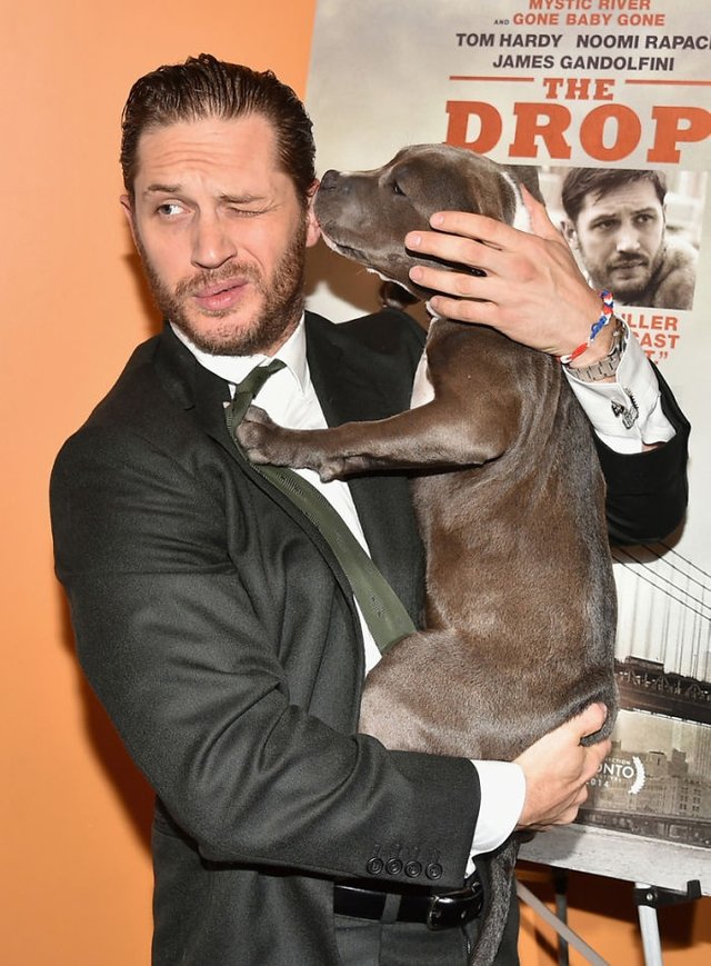 love-for-dogs-tom-hardy-59bf7ec159b3e__700.jpg