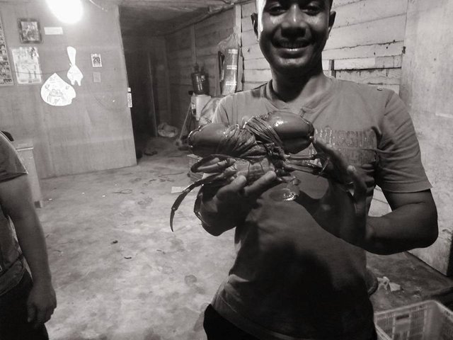 kepiting2.jpg