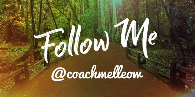 FollowMe @coachmelleow.jpeg