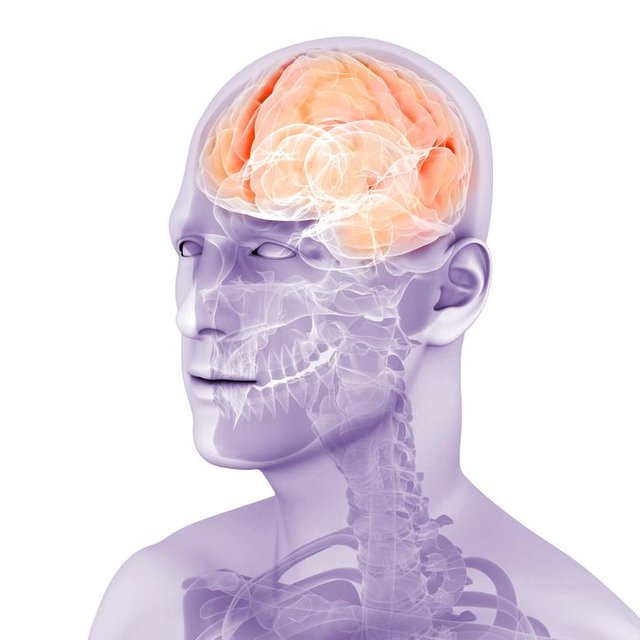 paralisis-supranuclear-progresiva-parkinsonismo.jpeg