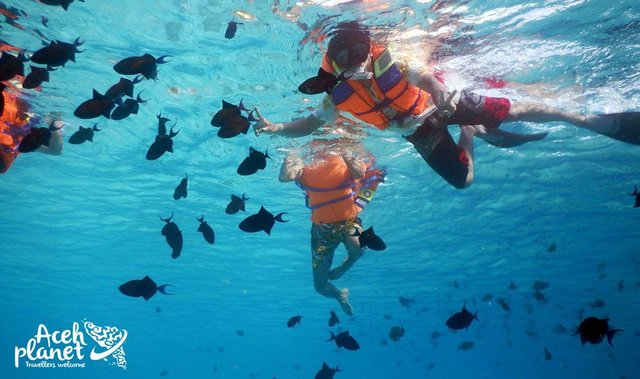 snorkeling sabang aceh planet 01.jpg