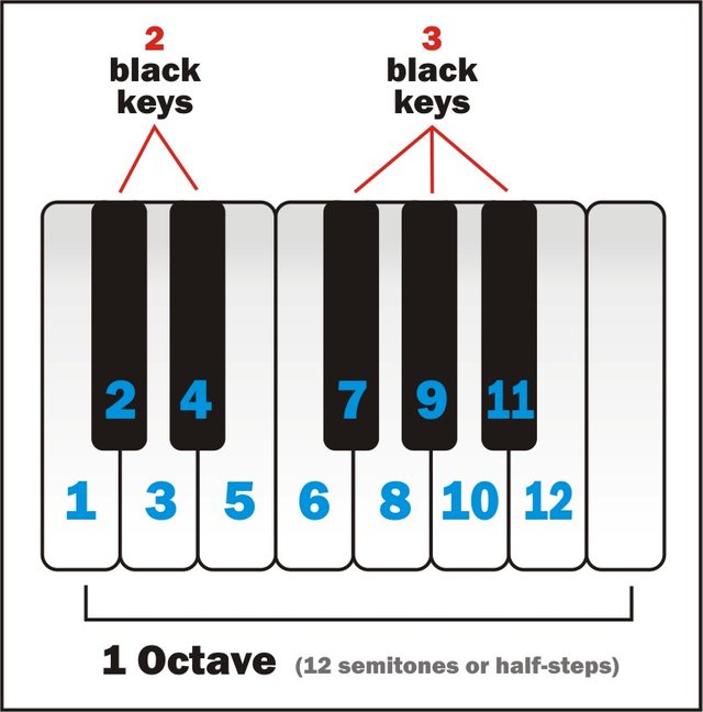 Octave-12-semitones.jpg