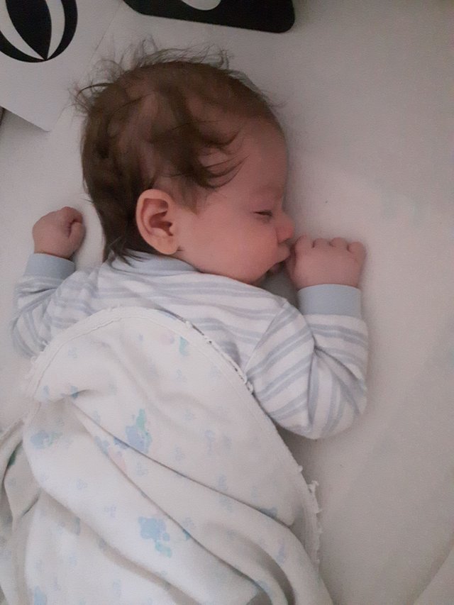 20180403_081719.jpg