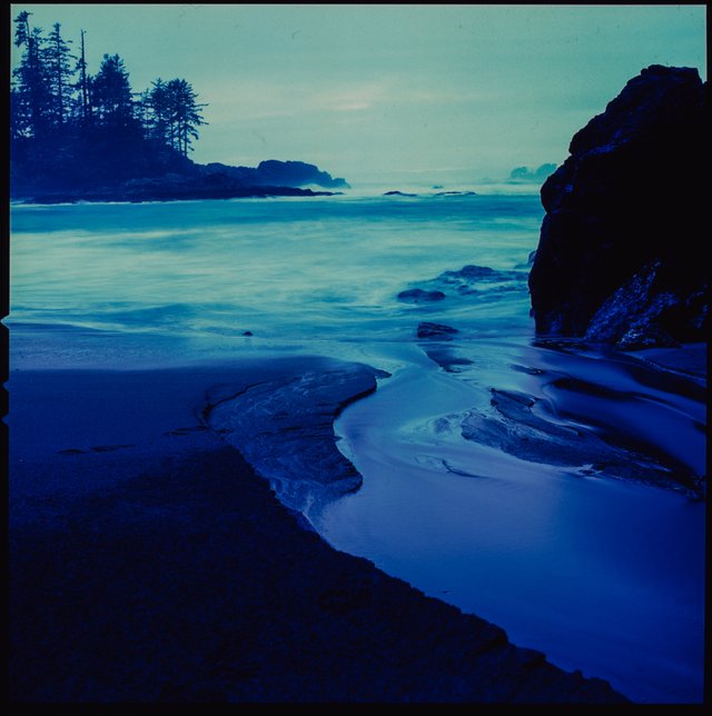 tofino_film_hasselblad-20-2.jpg