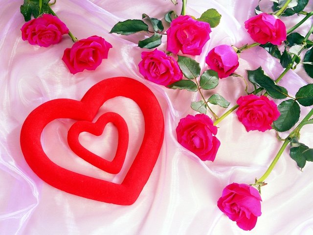 roseb009.jpg