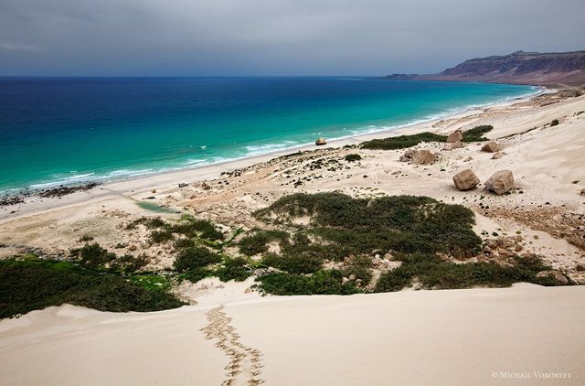 Beautiful-Beach-Socotra-Island.jpg