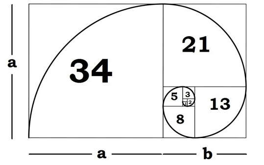 Fibonacci.png