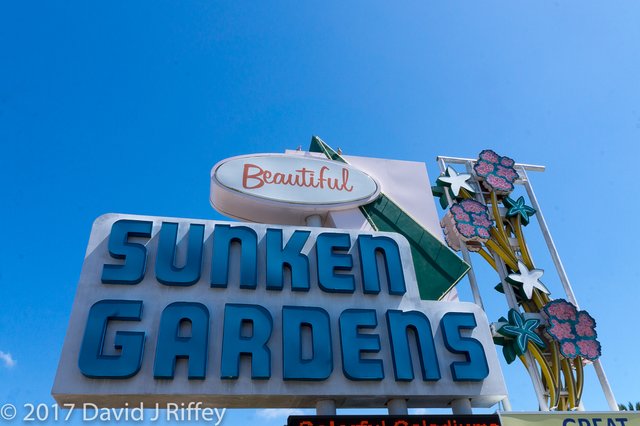 Sunken Gardens-00310.jpg