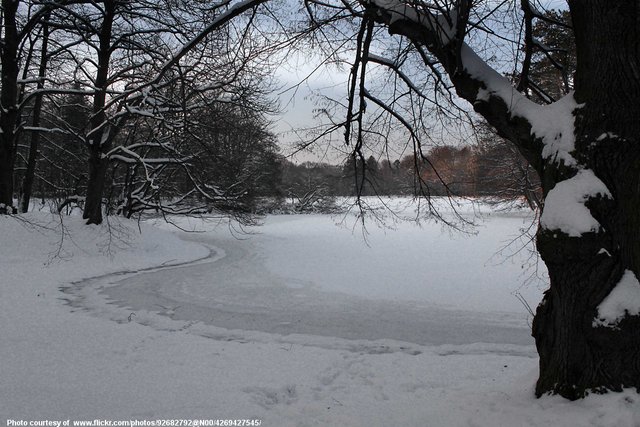 Winter Frozen Pond and Snow-011817.jpg